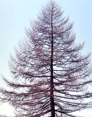 冬を乗り越える