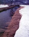雪解けの沼尻川