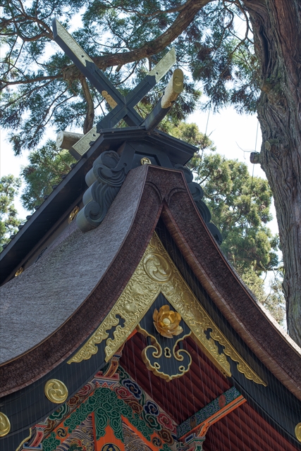 15 鹿島神宮本社殿(2) 本殿妻と御神木