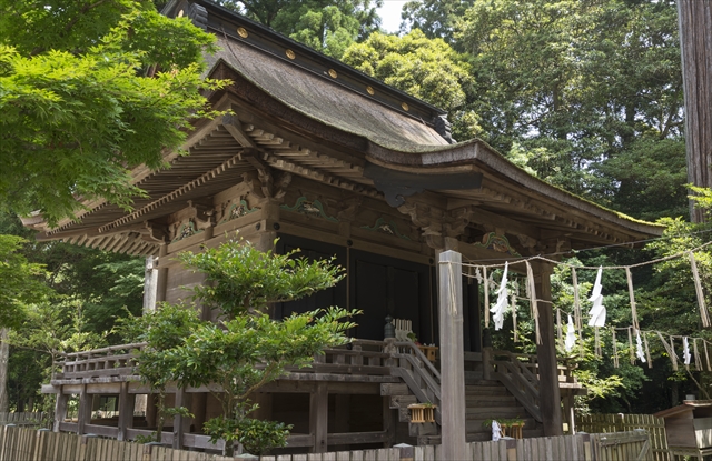 22 鹿島神宮仮殿(1) 全景