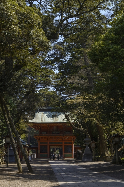 24 鹿島神宮楼門(1)  遠望