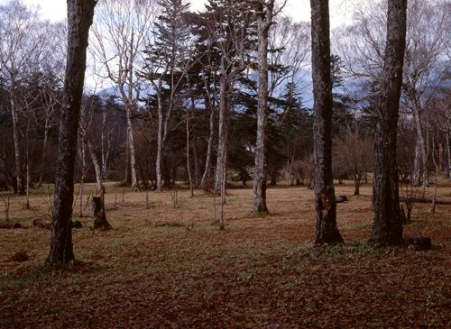 No.8 Senjogahara Field