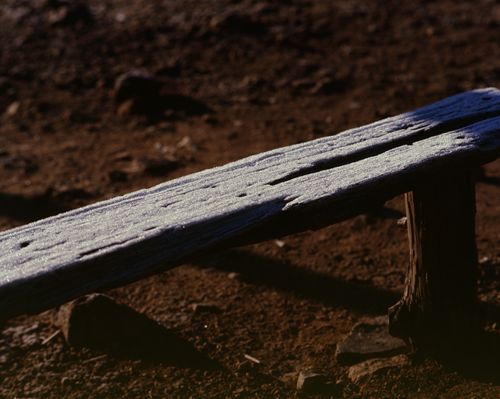 No.15 after cold night