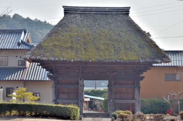 20 善光寺楼門(2) 裏からの眺め