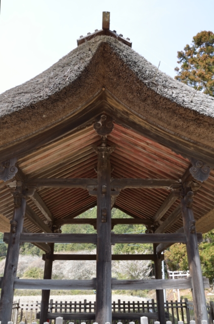 正面左手から真横を眺める