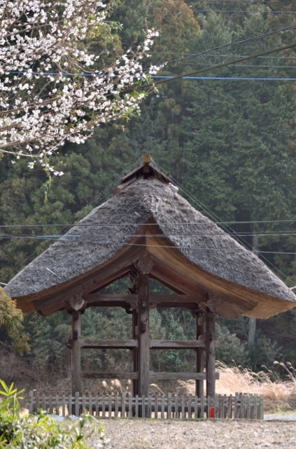 正面右手から遠望
