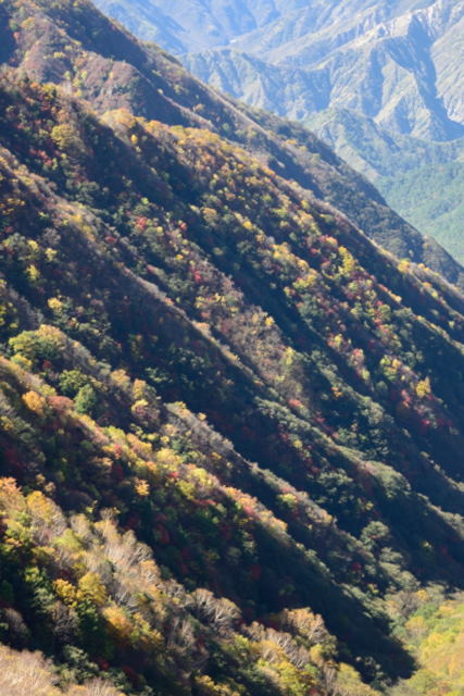 5.半月峠第２駐車場西方向