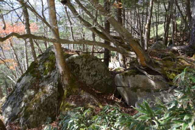 7.半月山展望台へ1