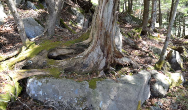 8.半月山展望台へ2