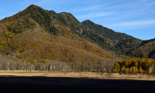 10.2014年10月18日