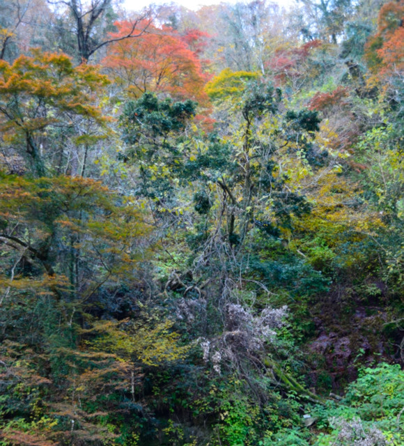 4.あれやこれや