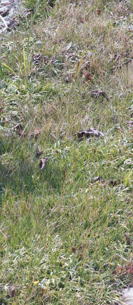 ティルトテスト撮影1